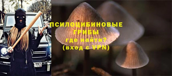 бошки Белокуриха