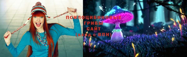 крисы Богородск