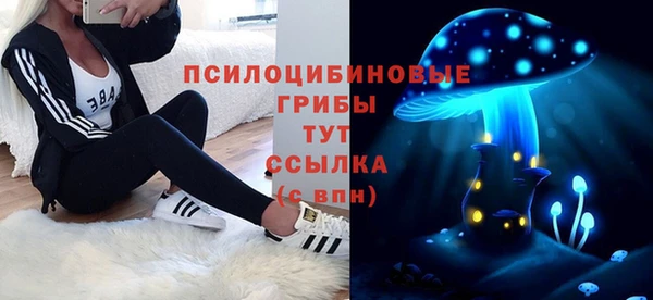 крисы Богородск