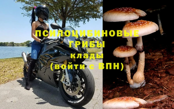 прущая мука Богданович