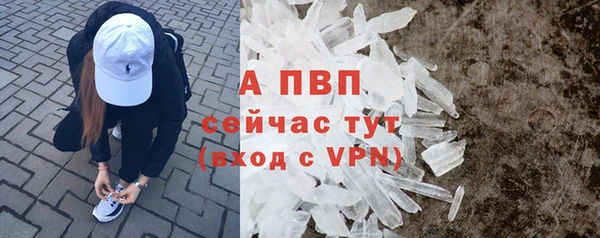крисы Богородск
