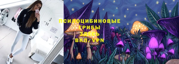винт Тавда