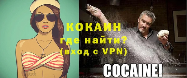 индика Тайга